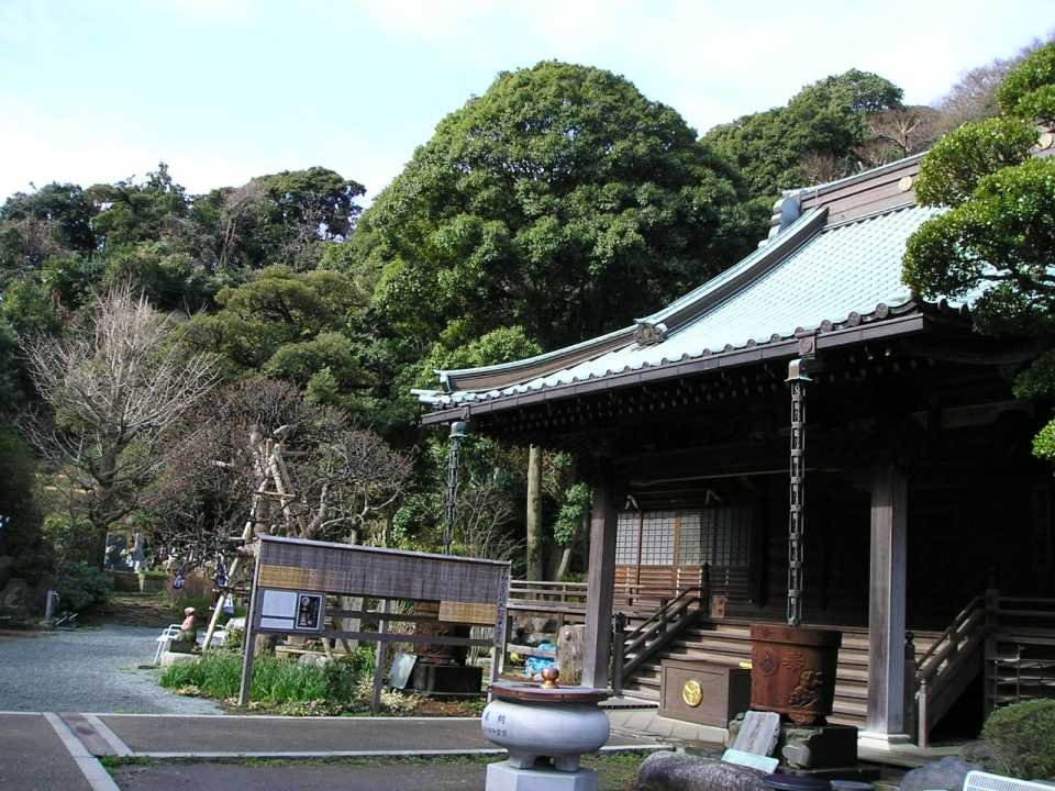青蓮寺の本堂(撮影:kamakura、ウィキメディア・コモンズ)|鎌・くらんぽ(クランポック制作)